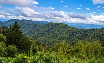 Plan Your Spring Break in the Great Smoky Mountains — Today!