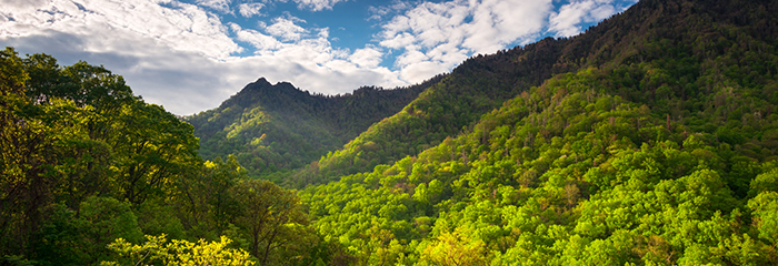 Smoky Mountain Cabin Vacations Cabins For You