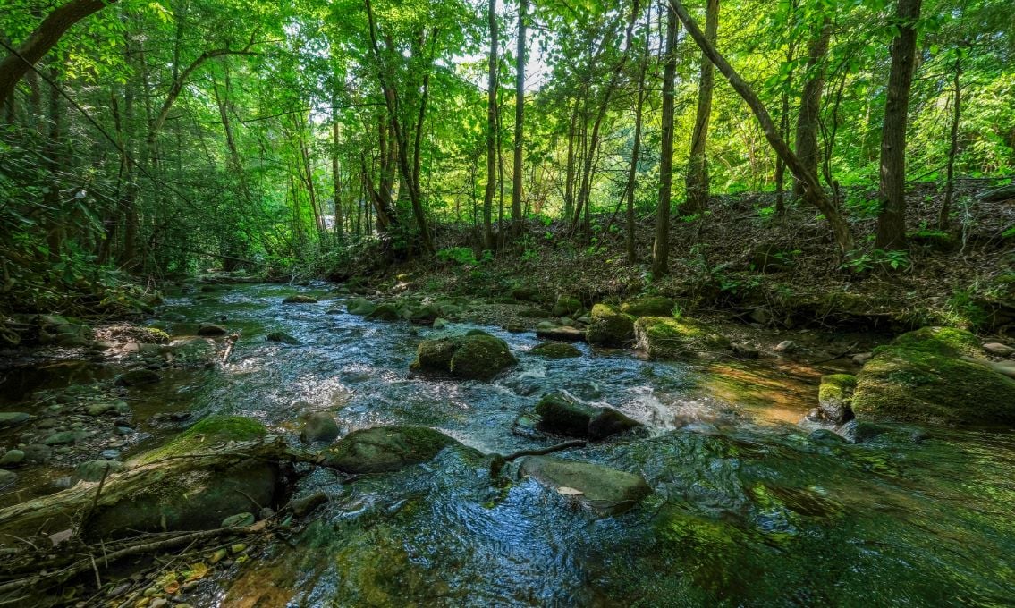 Gatlinburg Cabins - Shady Creek