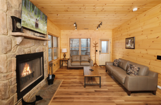 Gatlinburg Cabin - Black Bear Crossing - Living Room  