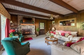 Gatlinburg - A Bear's View - Living Room