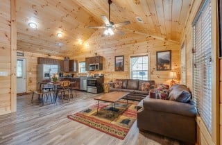 Pigeon Forge - Bear Clubhouse - Living Room