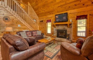 Pigeon Forge - Bear Necessities - Living Room