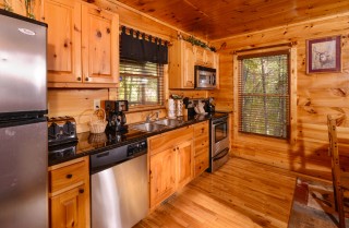 Pigeon Forge Cabins - The Looney Bin