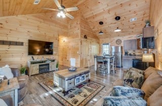 Pigeon Forge - Paws in the Air - Living Room