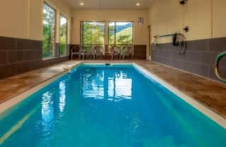 Pigeon Forge Cabin - The Refined Raccoon Retreat - Indoor Pool