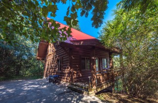 Pigeon Forge Cabins Timber Toy