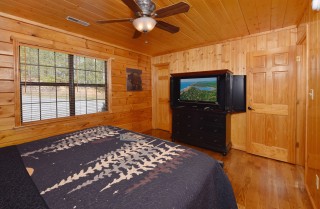 Large Pigeon Forge Cabins Wild Bear Lodge