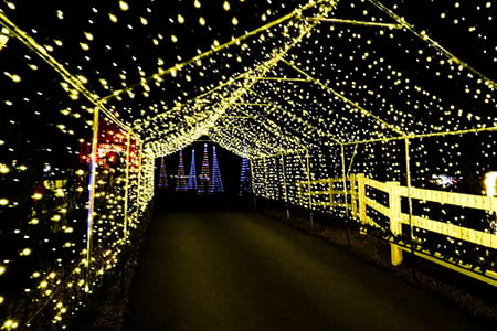 SkyLand's Festival of Lights at the Ranch